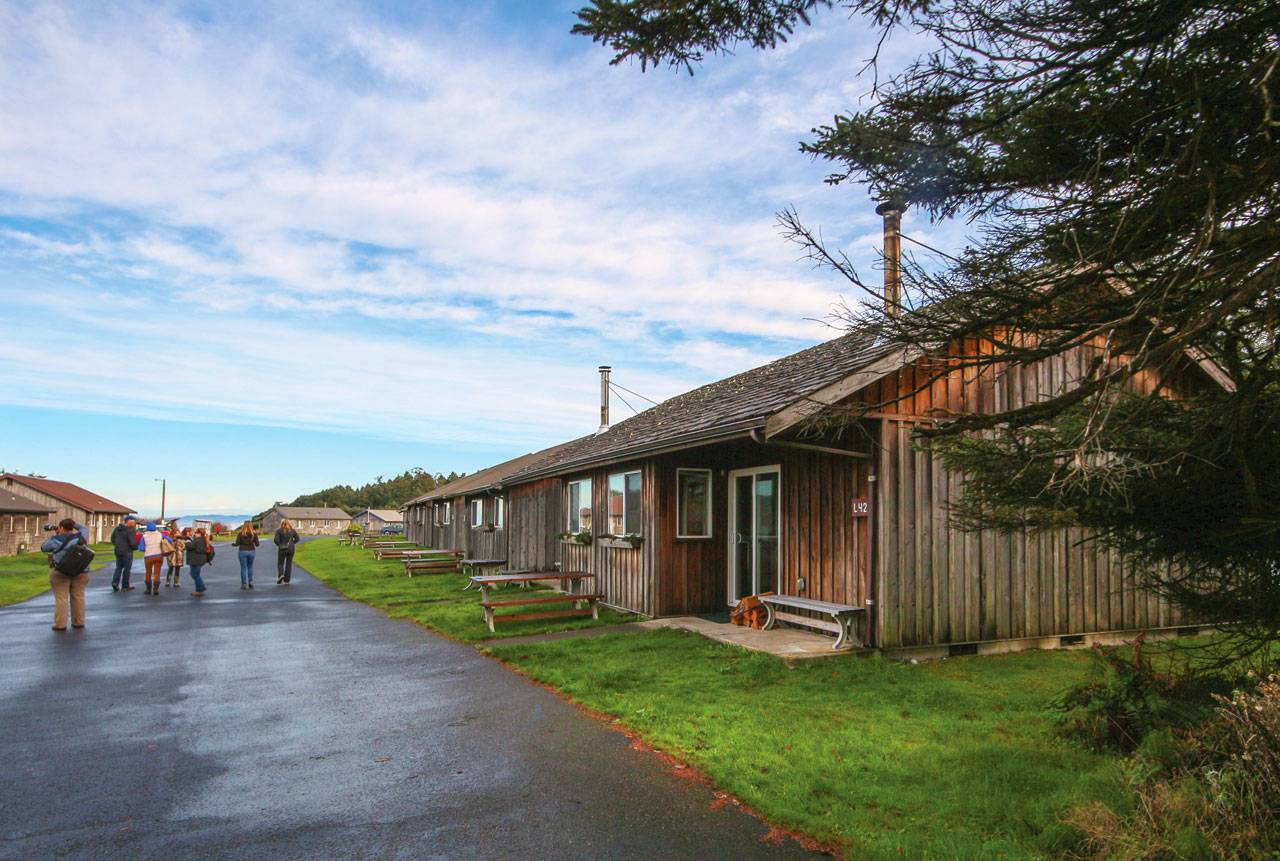 Kalaloch Cabins are our "inside row" of cabins, but many still feature great views!