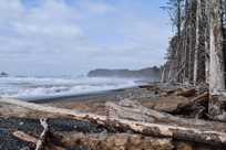 The beautiful and rugged Pacific coastline in Olympic National Park