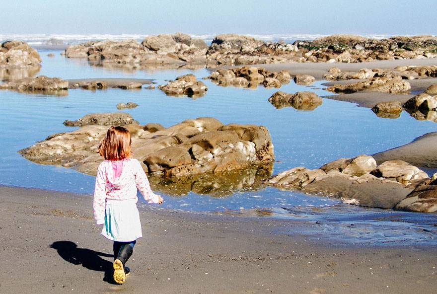 Kids love the activities at Kalaloch Lodge - from exploring the beaches to becoming an Ocean Stewards Junior Ranger.
