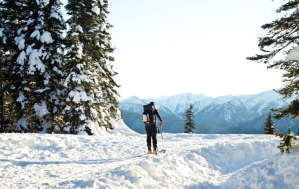 A person with a backpack walks through snowy trees toward Hurricane Ridge under a clear sky.
