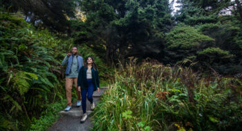 Two people walk along a forest trail in Olympic National Park surrounded by lush greenery and tall trees.