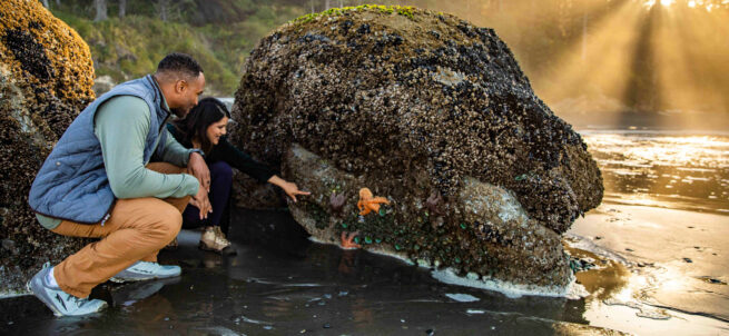 Two people examine tide pools on a beach in Olympic National Park, with sunlight streaming through trees in the background.