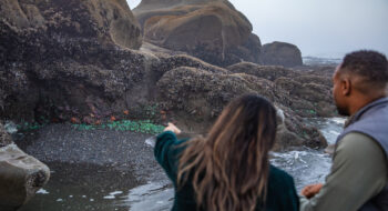 Two people observe tide pools and sea anemones on rocky coastal terrain at Olympic National Park.