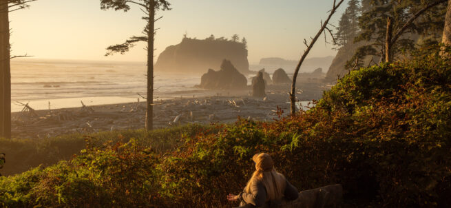 A person sits on a bench in Olympic National Park overlooking a rocky, driftwood-strewn beach at sunset.
