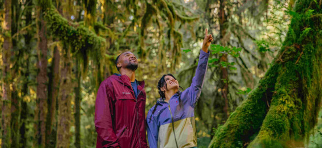 Two people in jackets stand in a lush green forest in Olympic National Park.