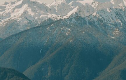 Snow-capped Hurricane Ridge with forested slopes under a clear sky, viewed from a snowy foreground.