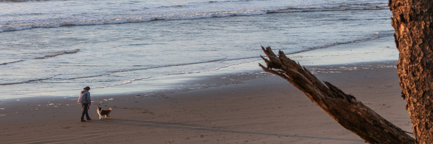 A Kalaloch Lodge guest and their dog on the beach