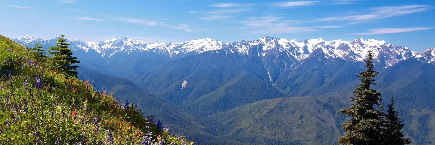 From mountain wildflowers to snow-capped mountains, Hurricane Ridge is one of Olympic National Park