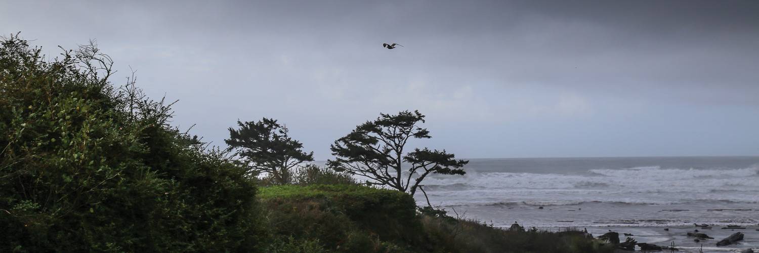 What to expect from spring, summer, fall and winter weather at Olympic National Park and Kalaloch. Dramatic clouds and waves are always in-season here.