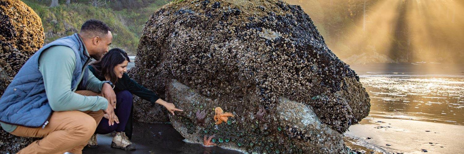 A couple exploring the tide pools near Kalaloch Lodge