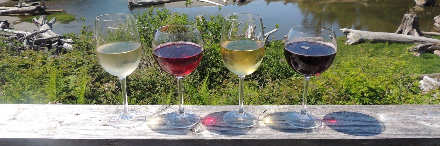 Glasses of wine lined up next to Kalaloch Creek
