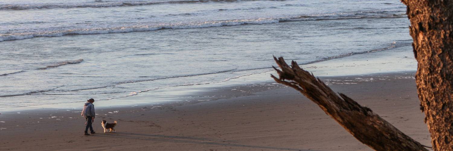 Treat your pet to some beach time on Kalaloch Beach, and the Pampered Pet Package at Kalaloch Lodge.