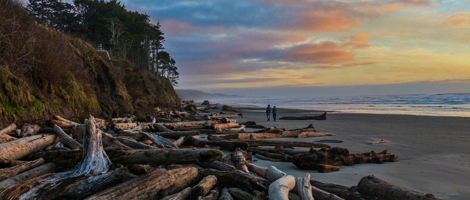 Walk Kalaloch Lodge's inviting driftwood edged beaches at sunset.