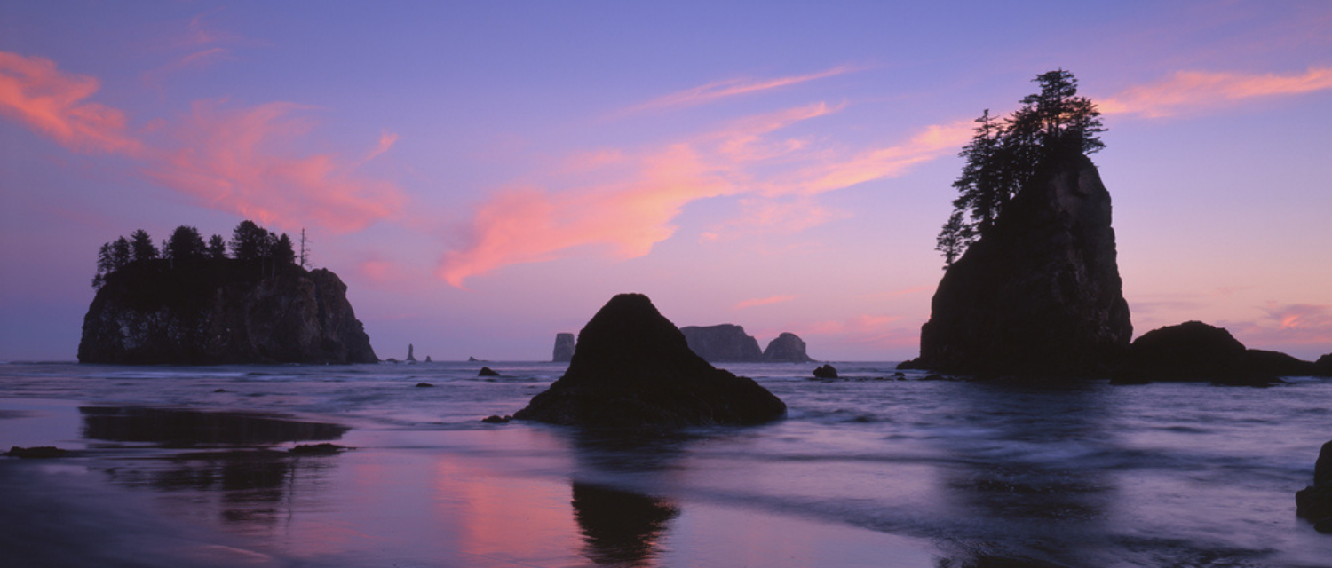 Sea stacks at sunset near Kalaloch Lodge