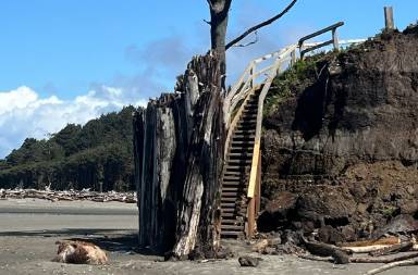 Outdoor research kalaloch sales