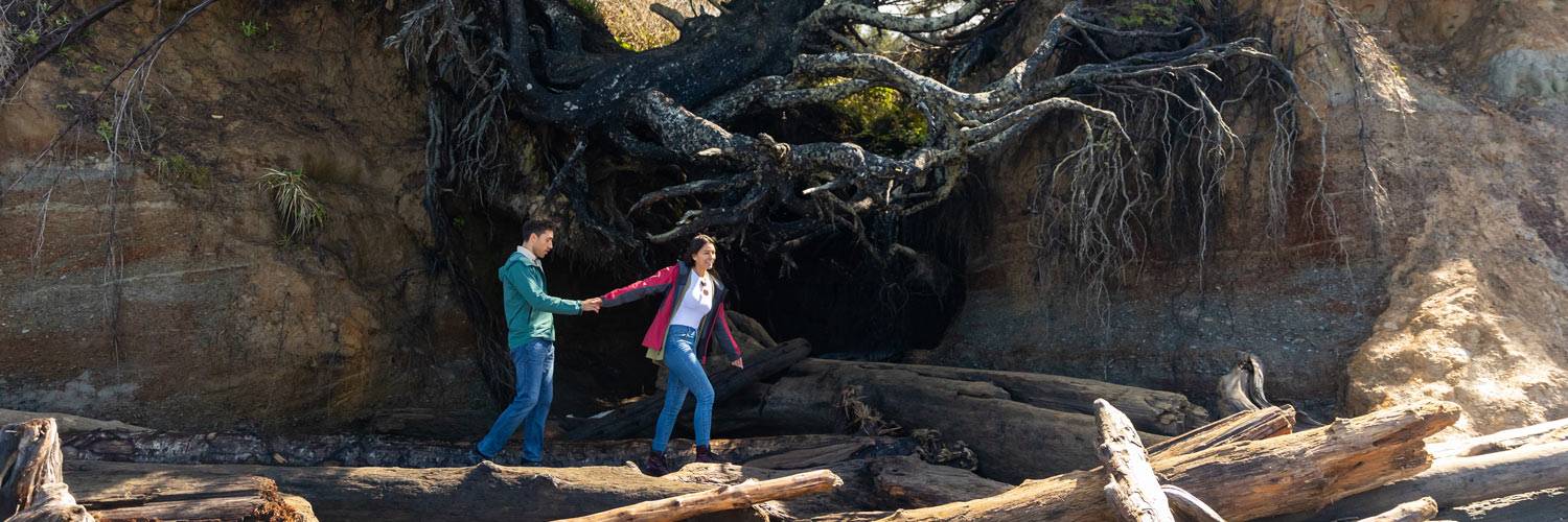 The tree of life near Kalaloch Lodge