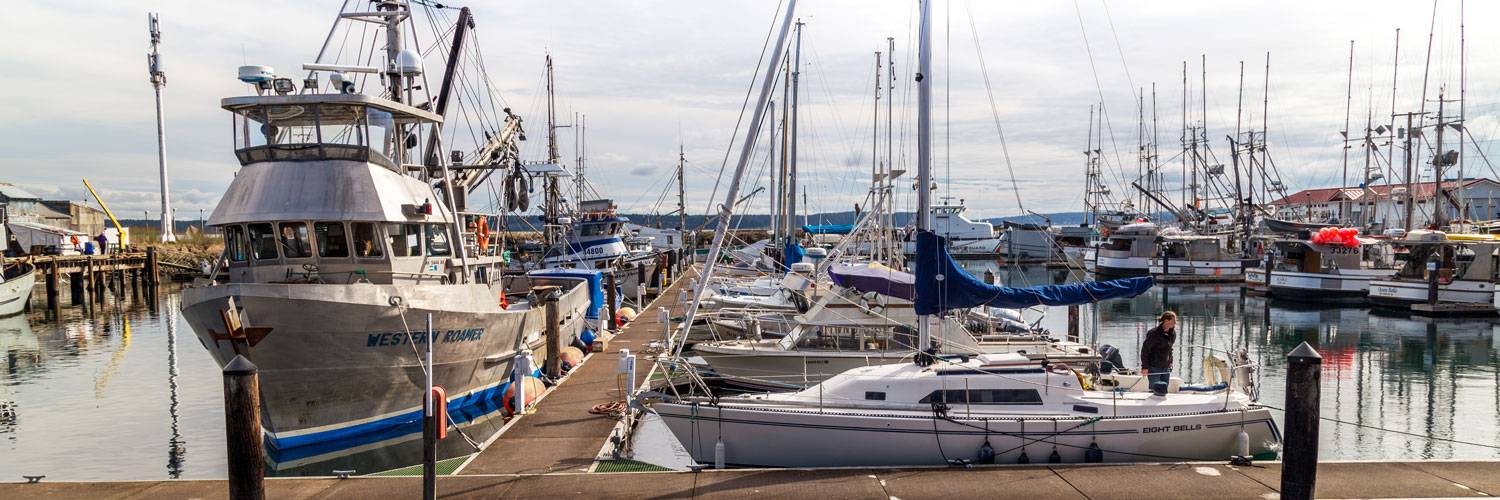 Go whale watching from Kalaloch Lodge or take about out of the marina.