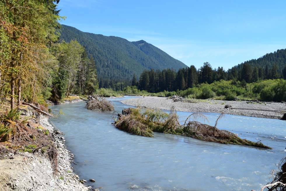 The Hoh River in Olympic National Park