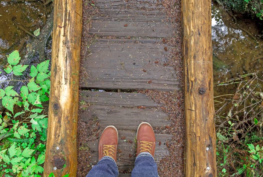 Find the best activities in Olympic National Park from Kalaloch Lodge. From hiking boardwalks to rainforest trails, there's something for everyone.