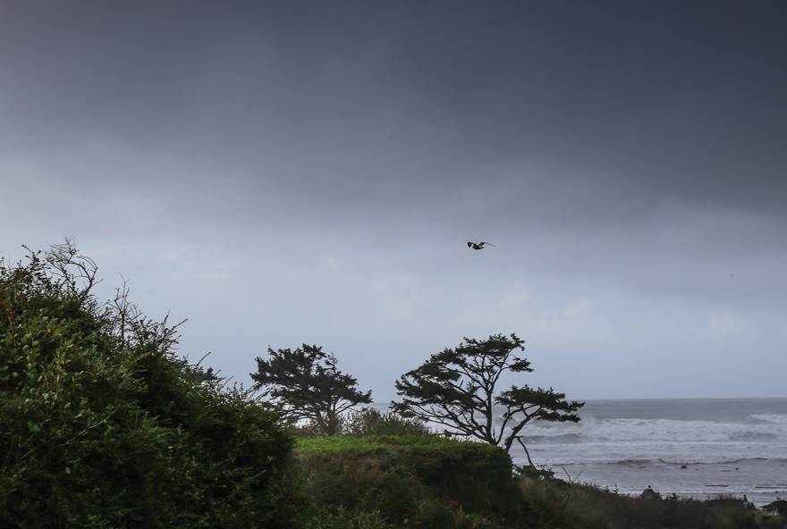 Dramatic weather at Olympic National Park enhances its beauty.