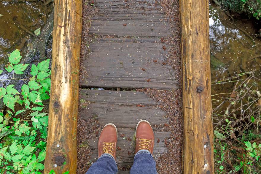 Find the best activities in Olympic National park from Kalaloch Lodge. From hiking boardwalks to rainforest trails, there's something for everyone.