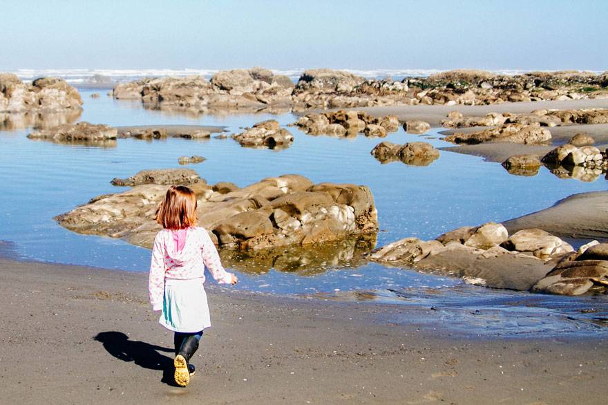 Kids love the activities at Kalaloch Lodge - from exploring the beaches to becoming an Ocean Stewards Junior Ranger.