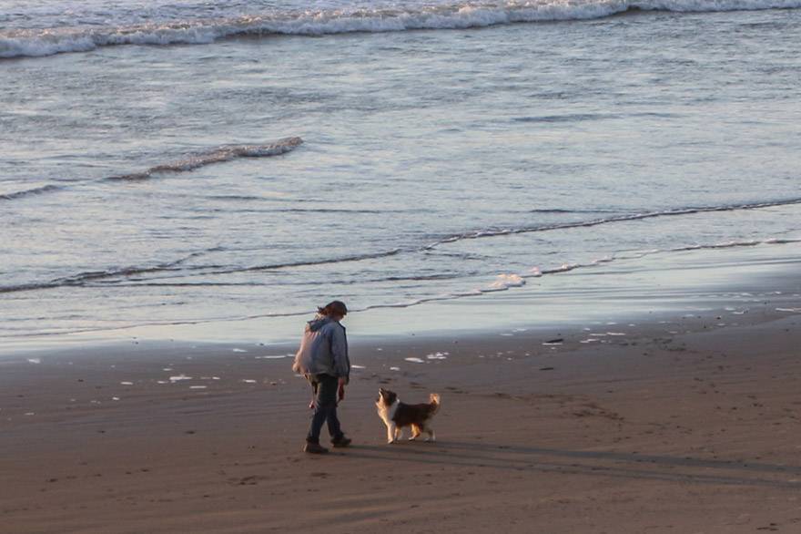 Treat your pet to some beach time on Kalaloch Beach, and the Pampered Pooch Package at Kalaloch Lodge.
