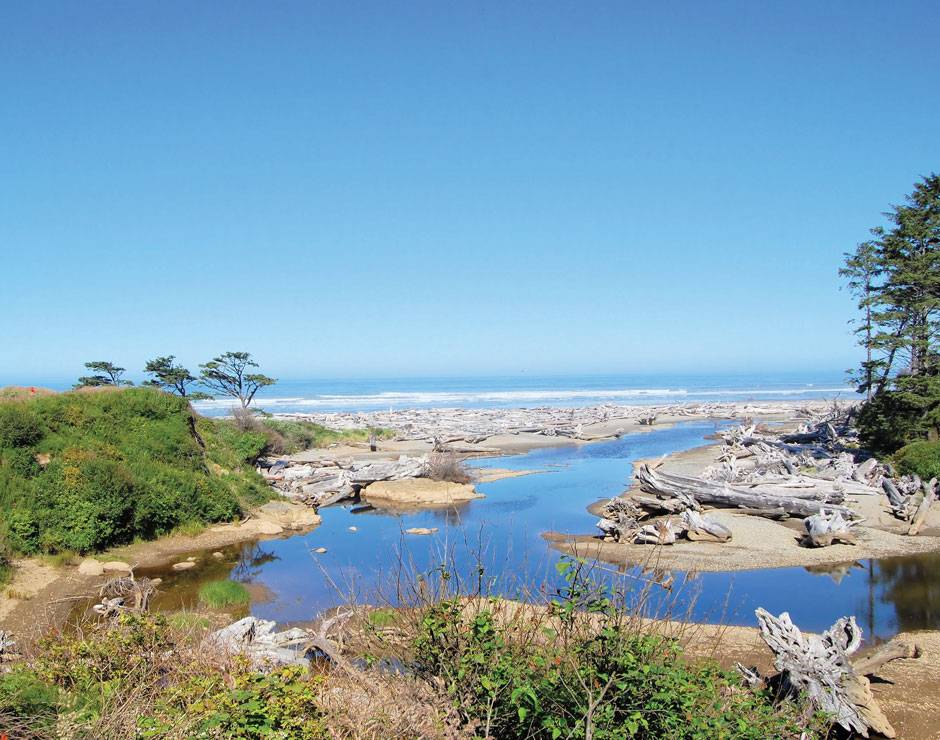 The webcam at Kalaloch Lodge shows this beautiful vista looking out at Kalaloch Creek toward the ocean.