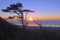 Kalaloch Lodge sunsets are nothing short of spectacular.